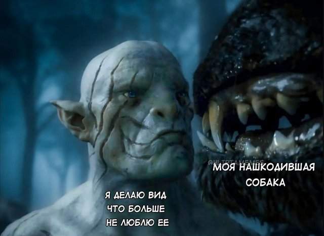 Лучшие шутки и мемы из Сети - 03.06.2025 Лучшие шутки и мемы из Сети - 03.06.2025