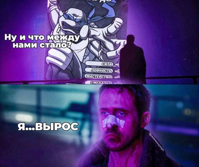 Лучшие шутки и мемы из Сети - 03.06.2025 Лучшие шутки и мемы из Сети - 03.06.2025