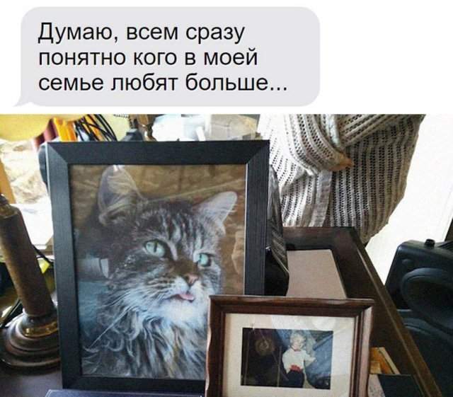 Смешные картинки - 04.06.2025 Смешные картинки - 04.06.2025