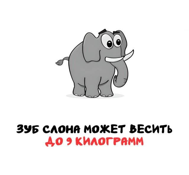 Интересные факты на все случаи жизни