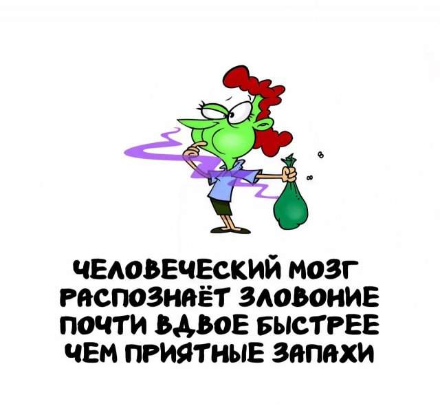 Интересные факты на все случаи жизни Интересные факты на все случаи жизни