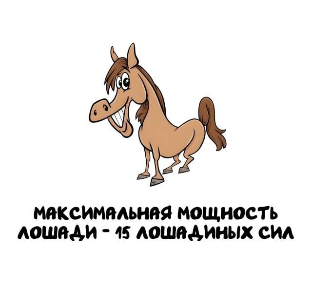Интересные факты на все случаи жизни Интересные факты на все случаи жизни