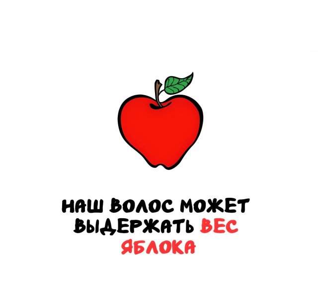 Интересные факты на все случаи жизни Интересные факты на все случаи жизни