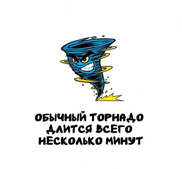 Интересные факты на все случаи жизни Интересные факты на все случаи жизни