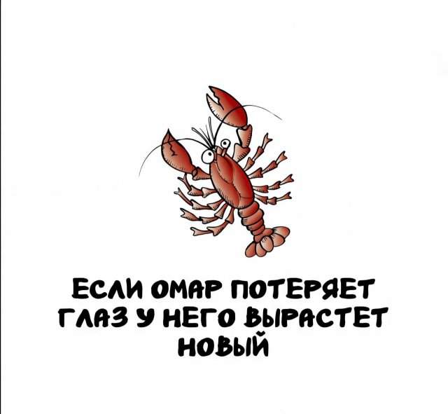 Интересные факты на все случаи жизни Интересные факты на все случаи жизни