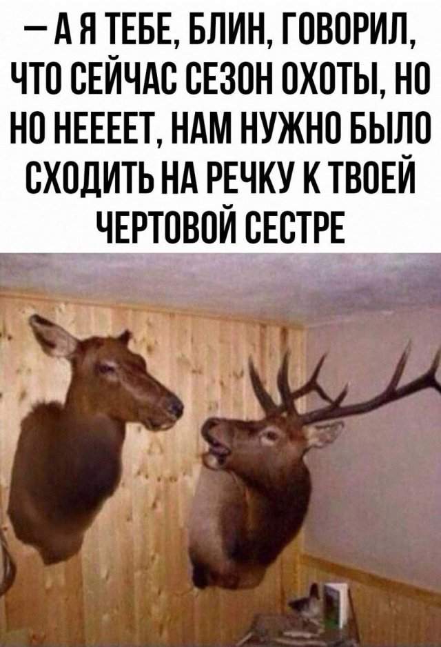 Лучшие шутки и мемы из Сети - 04.06.2025 Лучшие шутки и мемы из Сети - 04.06.2025