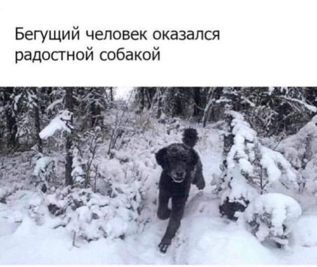 Лучшие шутки и мемы из Сети - 04.06.2025 Лучшие шутки и мемы из Сети - 04.06.2025