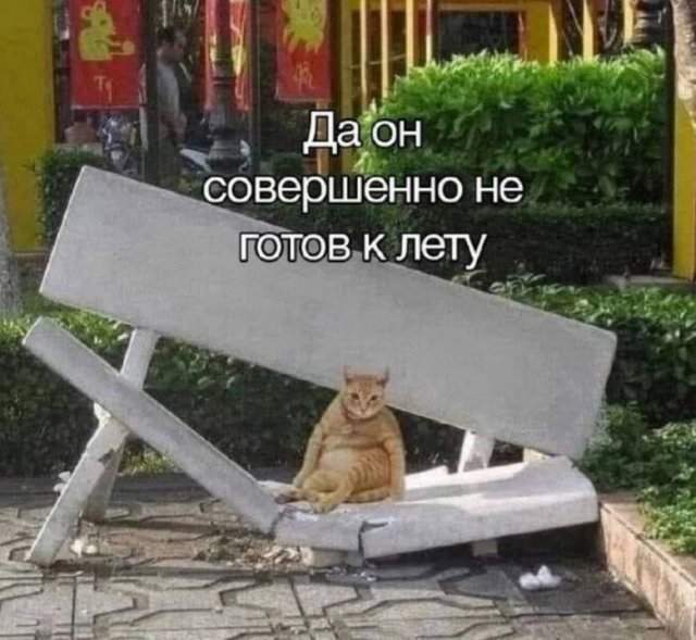 Лучшие шутки и мемы из Сети - 04.06.2025 Лучшие шутки и мемы из Сети - 04.06.2025