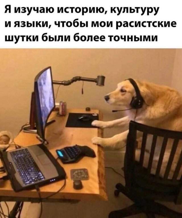 Лучшие шутки и мемы из Сети - 04.06.2025 Лучшие шутки и мемы из Сети - 04.06.2025