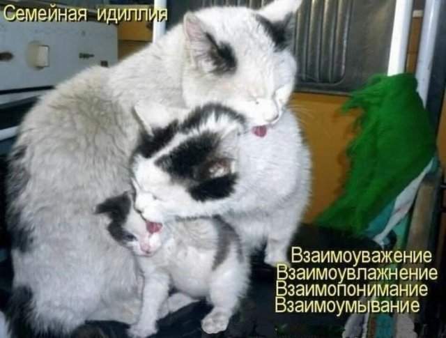 Лучшие шутки и мемы из Сети - 04.06.2025 Лучшие шутки и мемы из Сети - 04.06.2025