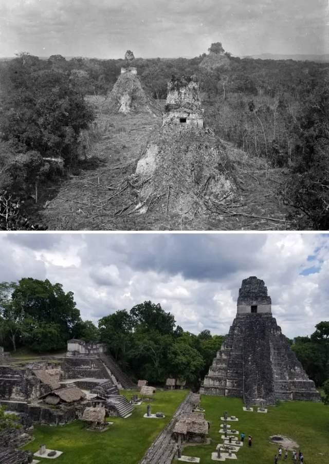 Тикаль, Гватемала, 1890 против 2023 Тикаль, Гватемала, 1890 против 2023