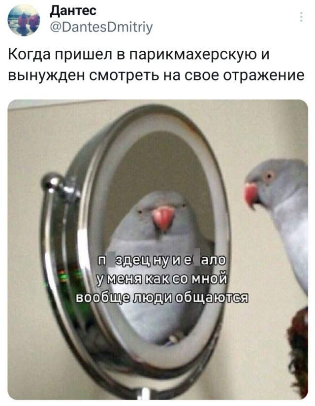Подборка забавных твитов обо всем Подборка забавных твитов обо всем