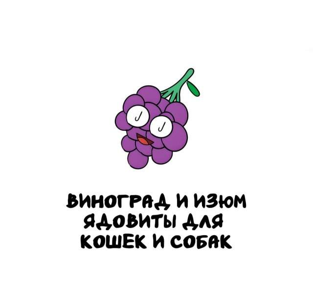 Интересные факты на все случаи жизни