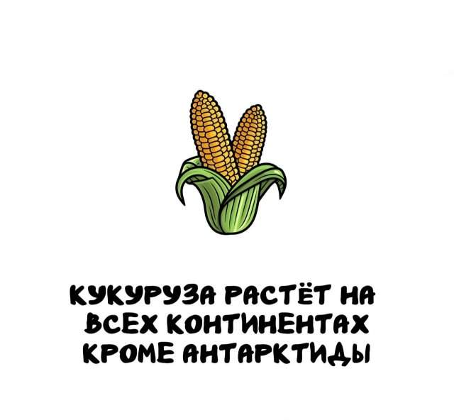 Интересные факты на все случаи жизни Интересные факты на все случаи жизни