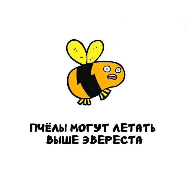 Интересные факты на все случаи жизни Интересные факты на все случаи жизни