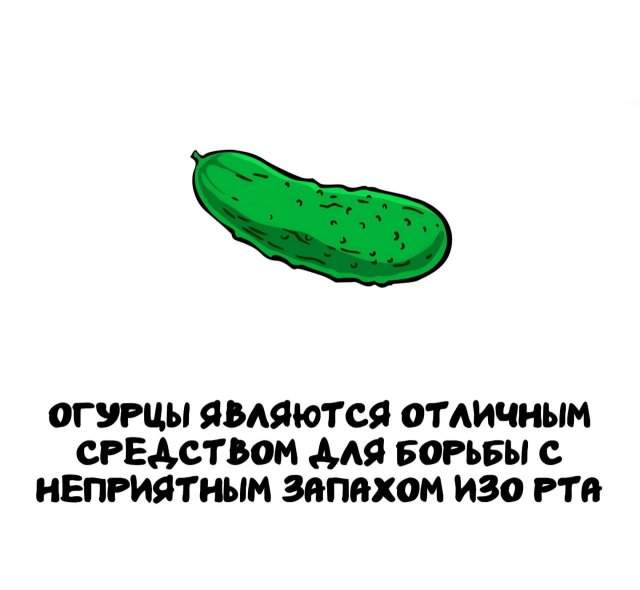 Интересные факты на все случаи жизни Интересные факты на все случаи жизни
