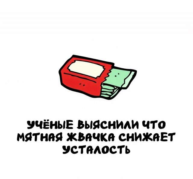 Интересные факты на все случаи жизни Интересные факты на все случаи жизни