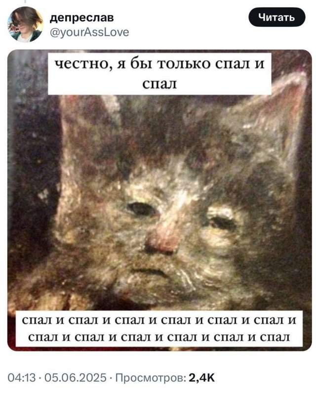 Любимые мемы с котами - кладезь грустных цитат Любимые мемы с котами - кладезь грустных цитат