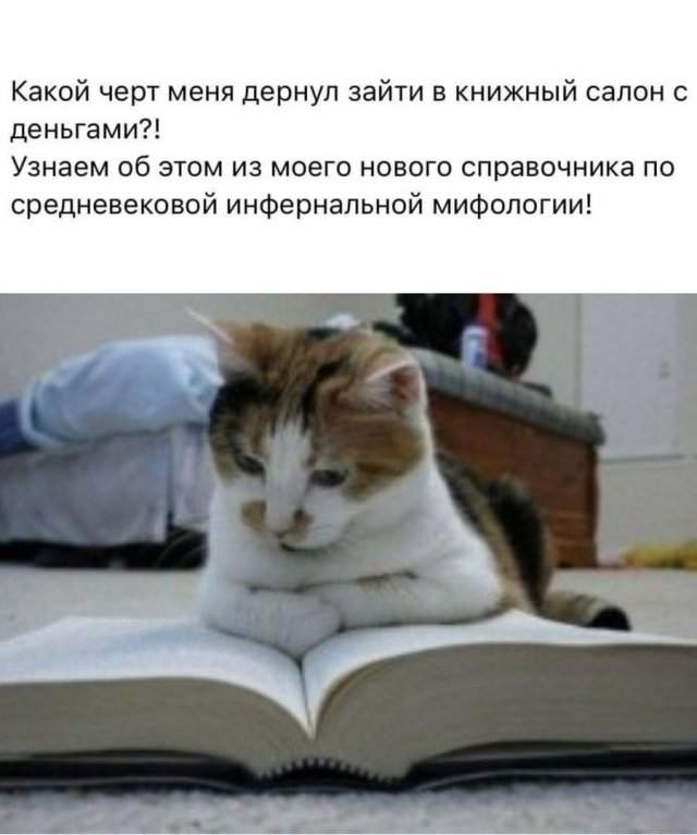 Лучшие шутки и мемы из Сети - 05.06.2025