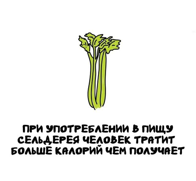 Интересные факты на все случаи жизни Интересные факты на все случаи жизни