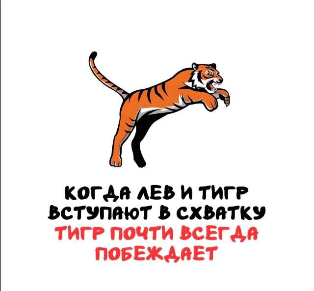 Интересные факты на все случаи жизни Интересные факты на все случаи жизни