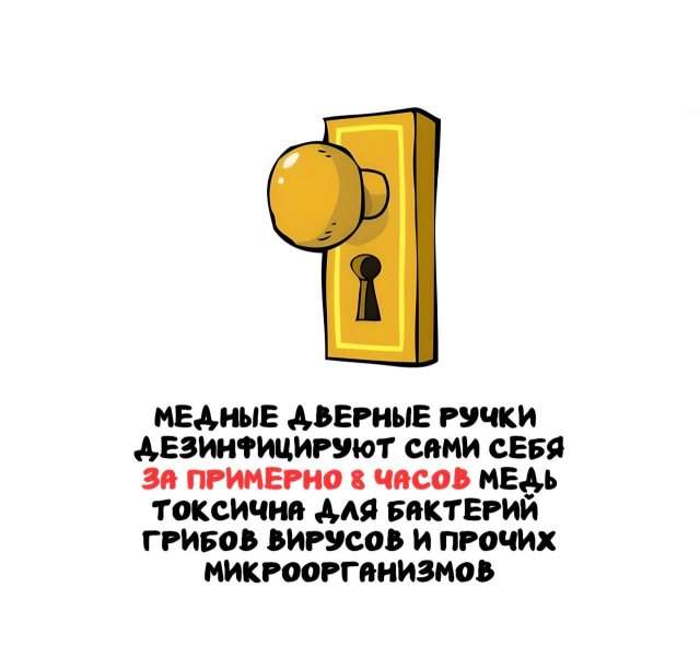Интересные факты на все случаи жизни Интересные факты на все случаи жизни