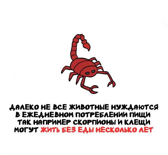 Интересные факты на все случаи жизни Интересные факты на все случаи жизни