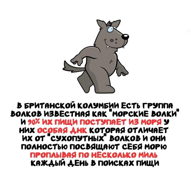 Интересные факты на все случаи жизни Интересные факты на все случаи жизни
