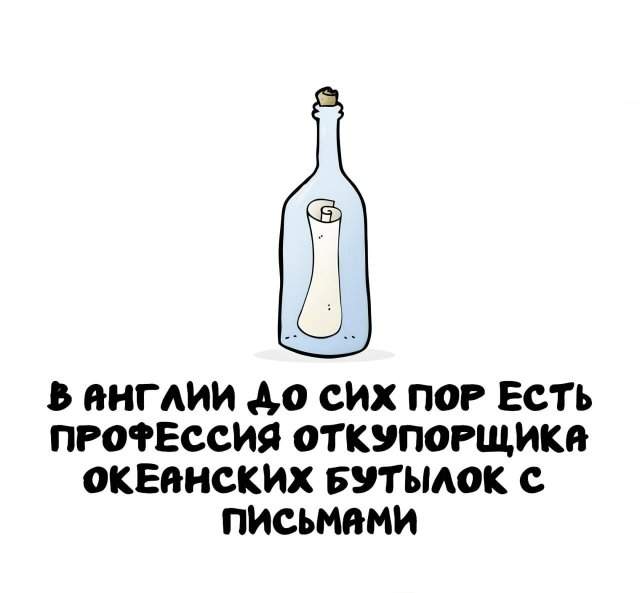 Интересные факты на все случаи жизни Интересные факты на все случаи жизни