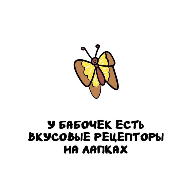Интересные факты на все случаи жизни Интересные факты на все случаи жизни