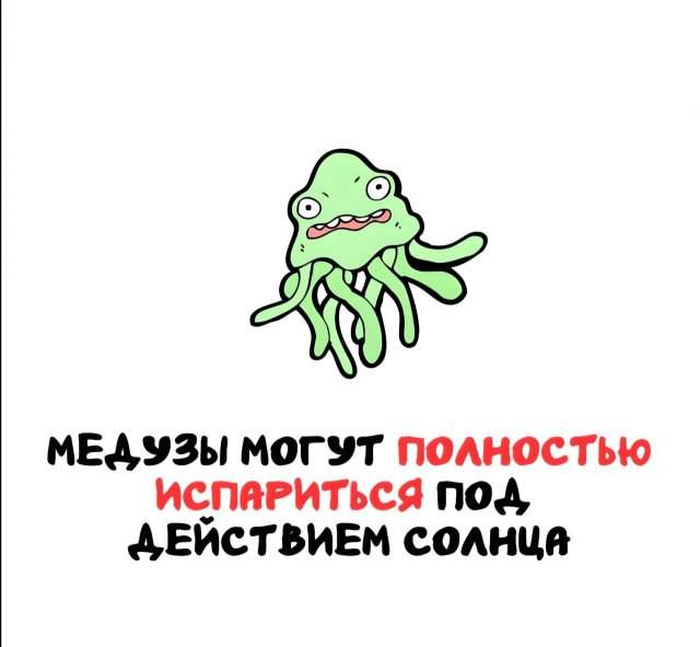 Интересные факты на все случаи жизни Интересные факты на все случаи жизни