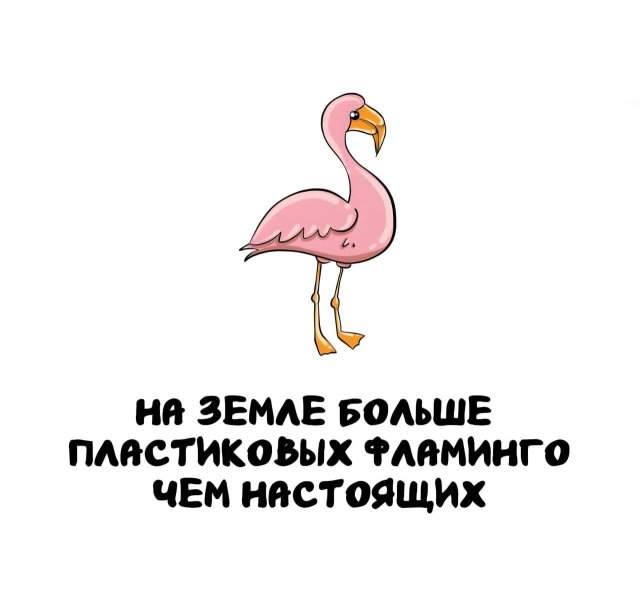 Интересные факты на все случаи жизни Интересные факты на все случаи жизни