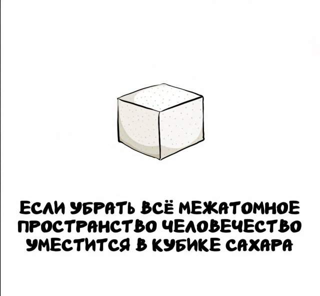 Интересные факты на все случаи жизни Интересные факты на все случаи жизни