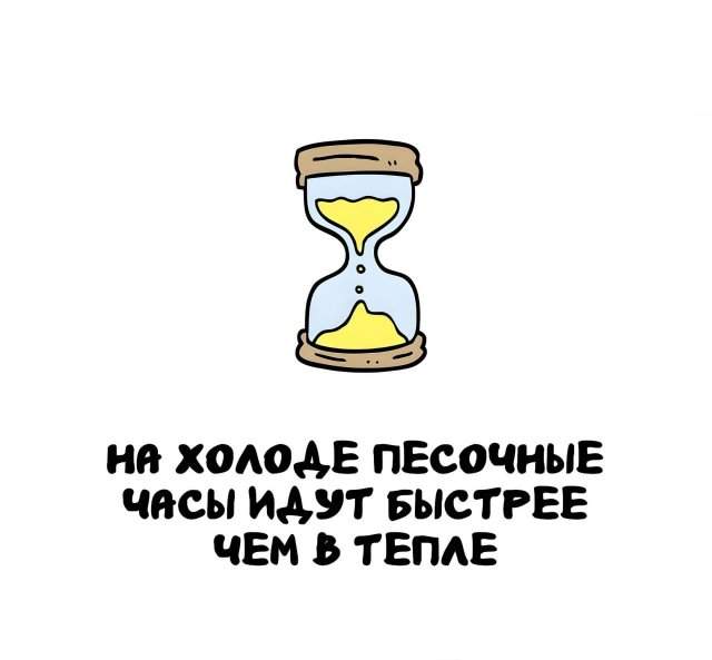 Интересные факты на все случаи жизни Интересные факты на все случаи жизни