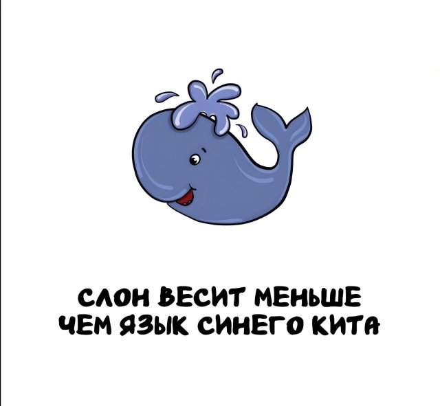 Интересные факты на все случаи жизни Интересные факты на все случаи жизни
