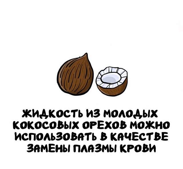 Интересные факты на все случаи жизни Интересные факты на все случаи жизни