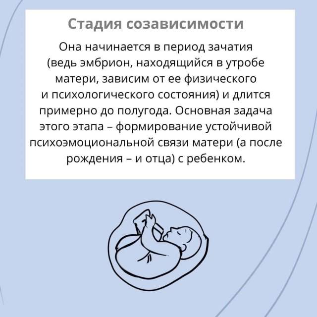 4 психофизиологические стадии развития человека 4 психофизиологические стадии развития человека