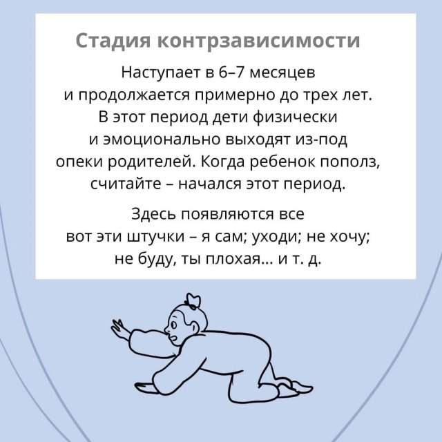 4 психофизиологические стадии развития человека 4 психофизиологические стадии развития человека