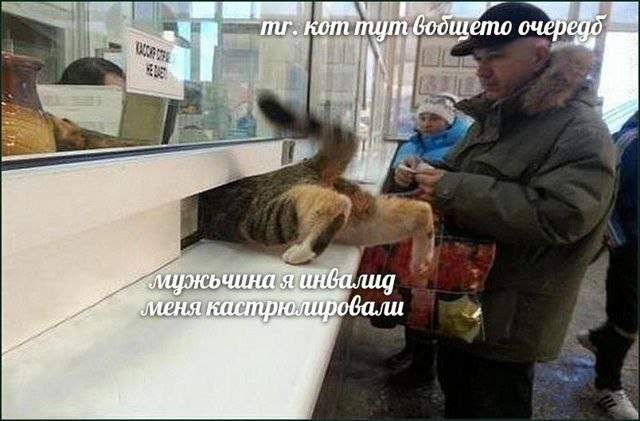Смешные мемы - 10.06.2025 Смешные мемы - 10.06.2025