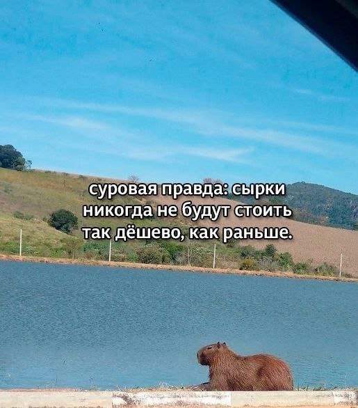 Смешные мемы - 10.06.2025 Смешные мемы - 10.06.2025