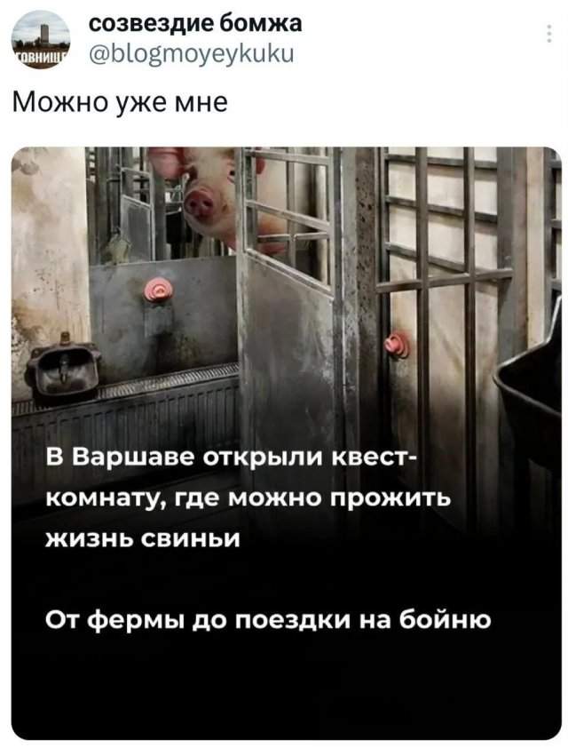 Подборка забавных твитов обо всем Подборка забавных твитов обо всем
