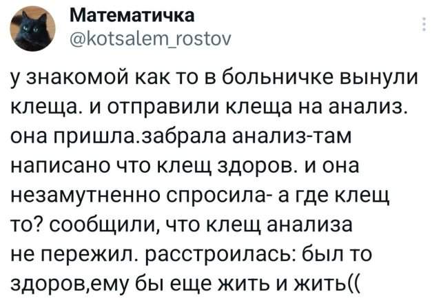 Подборка забавных твитов обо всем Подборка забавных твитов обо всем