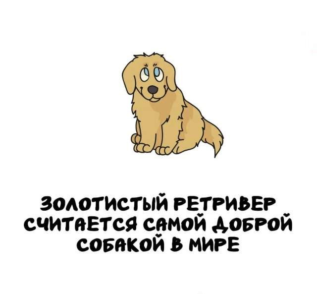 Интересные факты на все случаи жизни Интересные факты на все случаи жизни