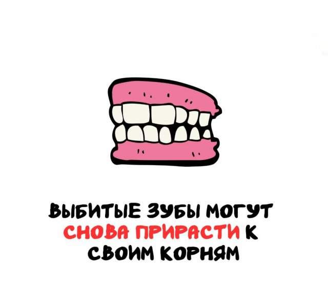 Интересные факты на все случаи жизни Интересные факты на все случаи жизни