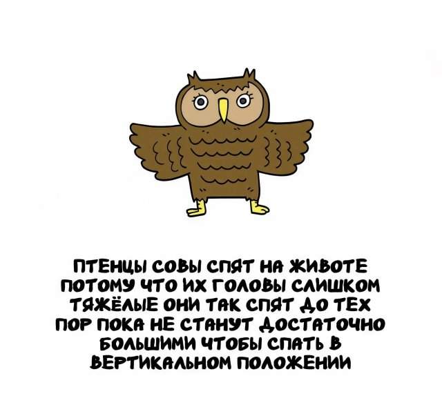 Интересные факты на все случаи жизни Интересные факты на все случаи жизни