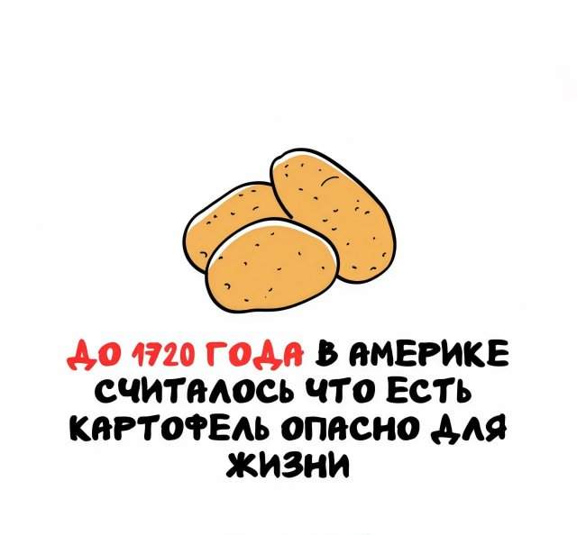 Интересные факты на все случаи жизни Интересные факты на все случаи жизни