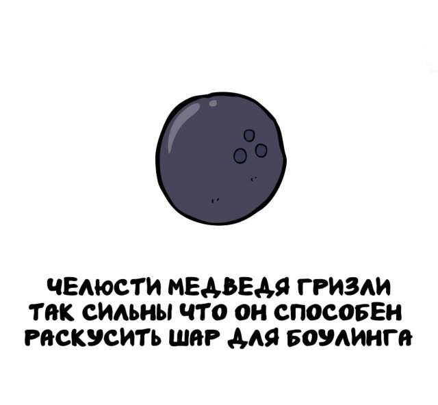 Интересные факты на все случаи жизни Интересные факты на все случаи жизни