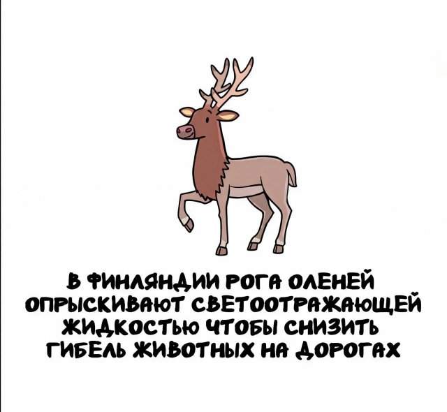 Интересные факты на все случаи жизни Интересные факты на все случаи жизни