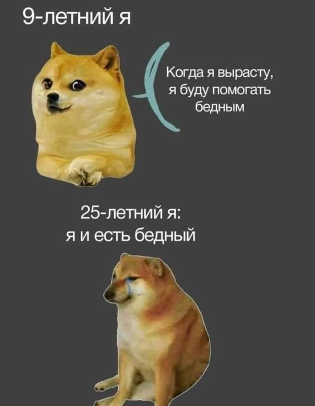 Лучшие шутки и мемы из Сети - 10.06.2025