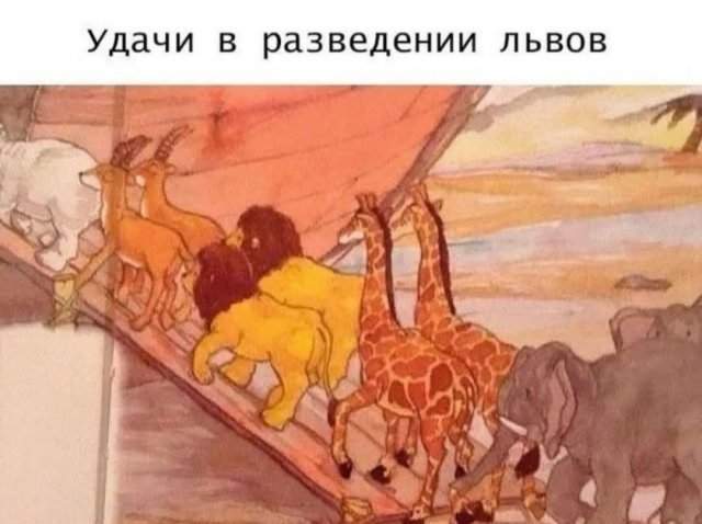 Смешные мемы - 11.06.2025 Смешные мемы - 11.06.2025